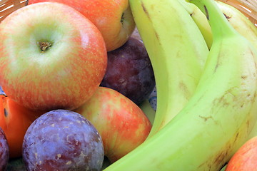 Image showing Many fruits