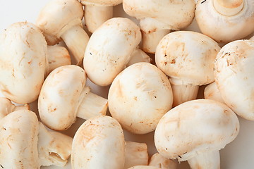 Image showing Fresh mushrooms