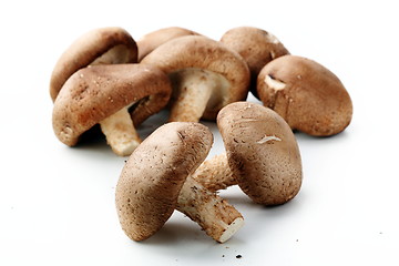 Image showing Healthy food. Mushrooms