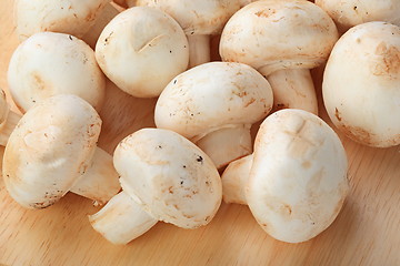 Image showing Fresh mushrooms