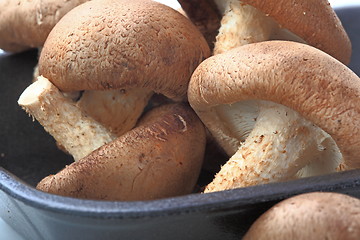 Image showing Healthy food. Mushrooms