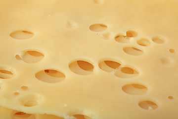 Image showing The cheese