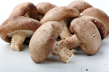 Image showing Healthy food. Mushrooms