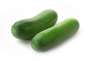 Image showing The green cucumbers