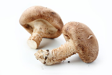 Image showing Healthy food. Mushrooms