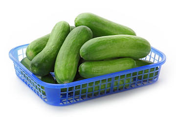 Image showing The green cucumbers