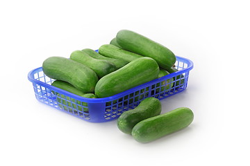 Image showing The green cucumbers