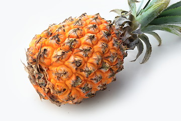 Image showing The pineapple