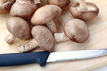 Image showing Healthy food. Mushrooms