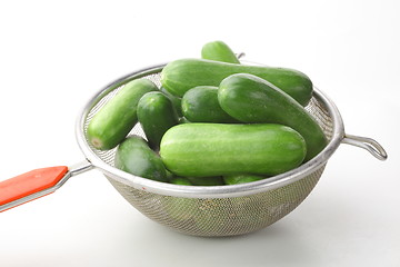 Image showing The green cucumbers