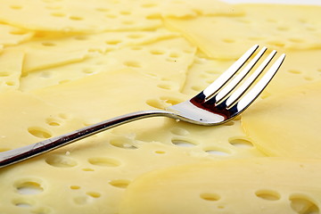 Image showing The cheese