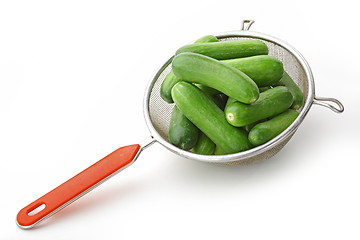 Image showing The green cucumbers