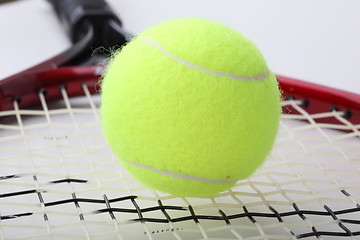 Image showing The tennis ball