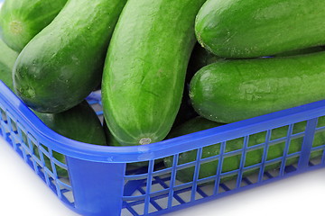 Image showing The green cucumbers