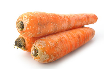 Image showing The red carrot