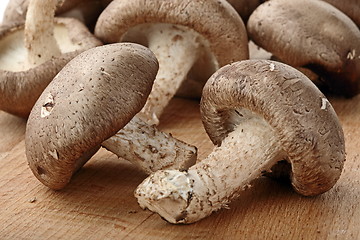 Image showing Healthy food. Mushrooms