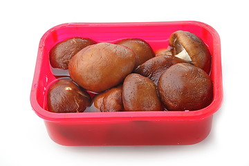 Image showing Fresh mushrooms