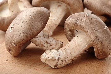 Image showing Healthy food. Mushrooms