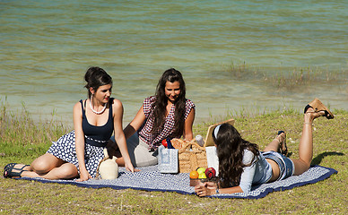 Image showing Picnic