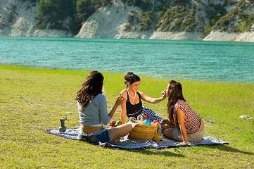 Image showing Picnic