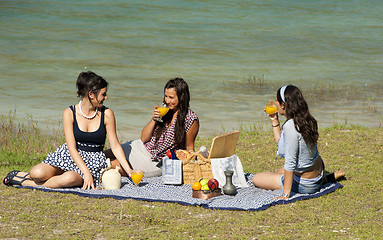 Image showing Picnic