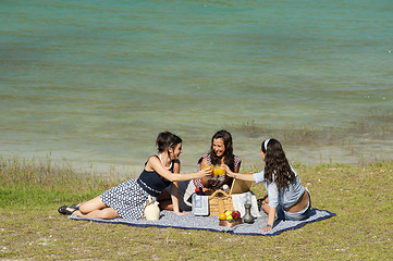 Image showing Picnic