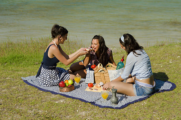 Image showing Picnic