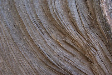 Image showing A wood pulp texture