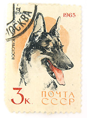 Image showing A recessed stamp with a dog