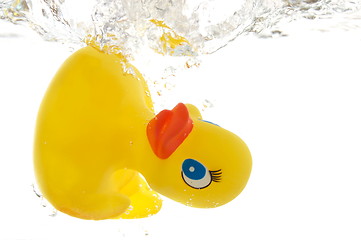 Image showing rubber duck