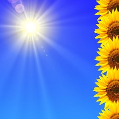 Image showing summer sun and copyspace