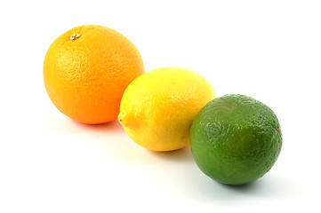 Image showing lemon orange and citron fruit