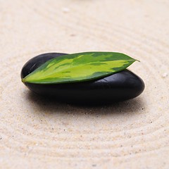 Image showing japanese zen garden