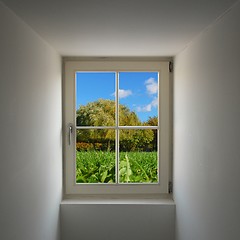 Image showing window and nature