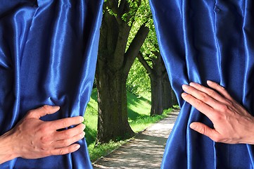 Image showing park and blue curtain