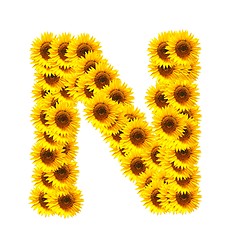 Image showing alphabet of flowers