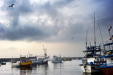 Image showing Harbour in Sri Lanka