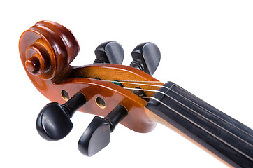 Image showing Violin close up 