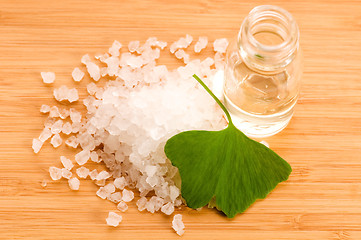 Image showing fresh leaves ginko biloba essential oil and sea salt - beauty tr