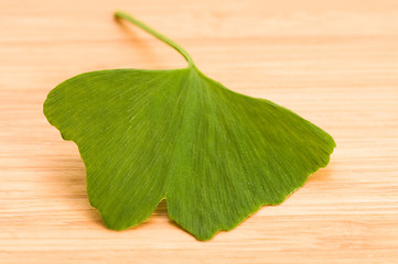 Image showing Fresh Leaves Ginkgo On The Wood