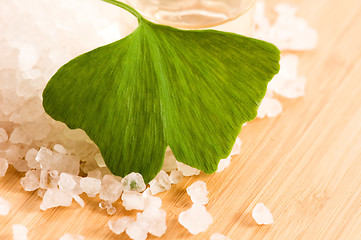 Image showing fresh leaves ginko biloba essential oil and sea salt - beauty tr