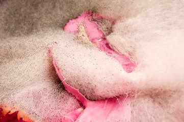 Image showing Soup damaged by mold, extreme closeup of texture 