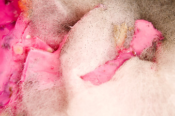 Image showing Soup damaged by mold, extreme closeup of texture 