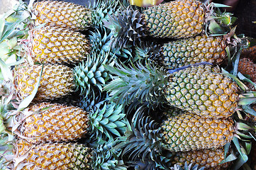 Image showing Pineapples