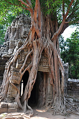 Image showing Landscape of Angkor, Cambodia