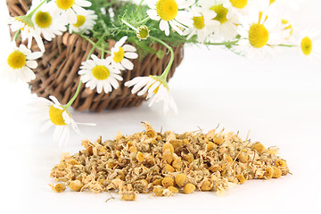 Image showing Chamomile