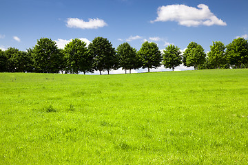 Image showing Trees growing in the field