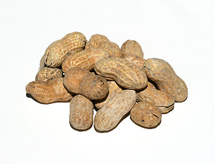 Image showing Roasted Peanuts