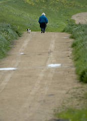 Image showing Walking the dog