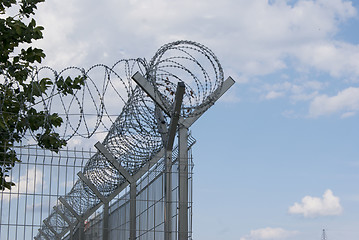 Image showing Concertina on the fence